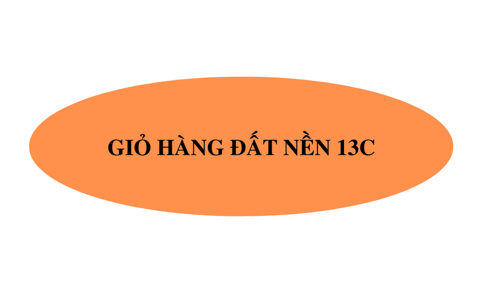 đất nền 13c